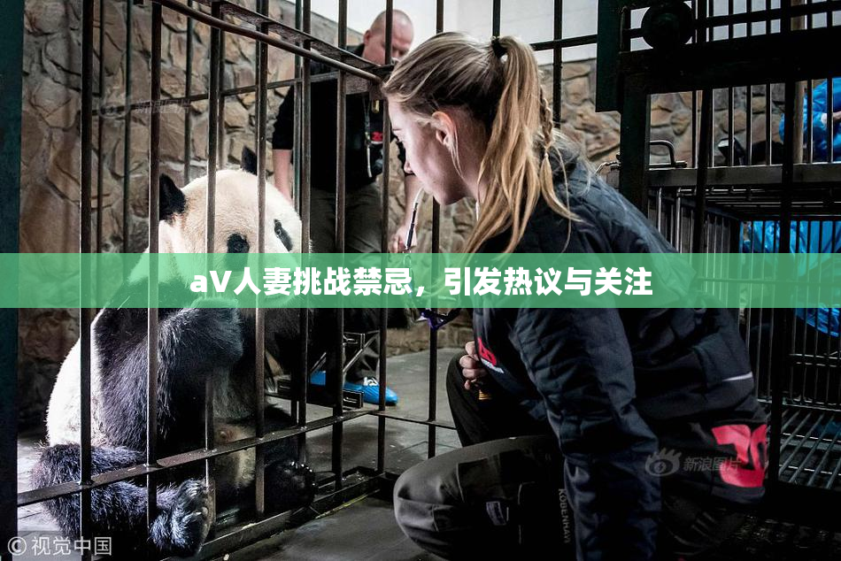 aV人妻挑战禁忌，引发热议与关注