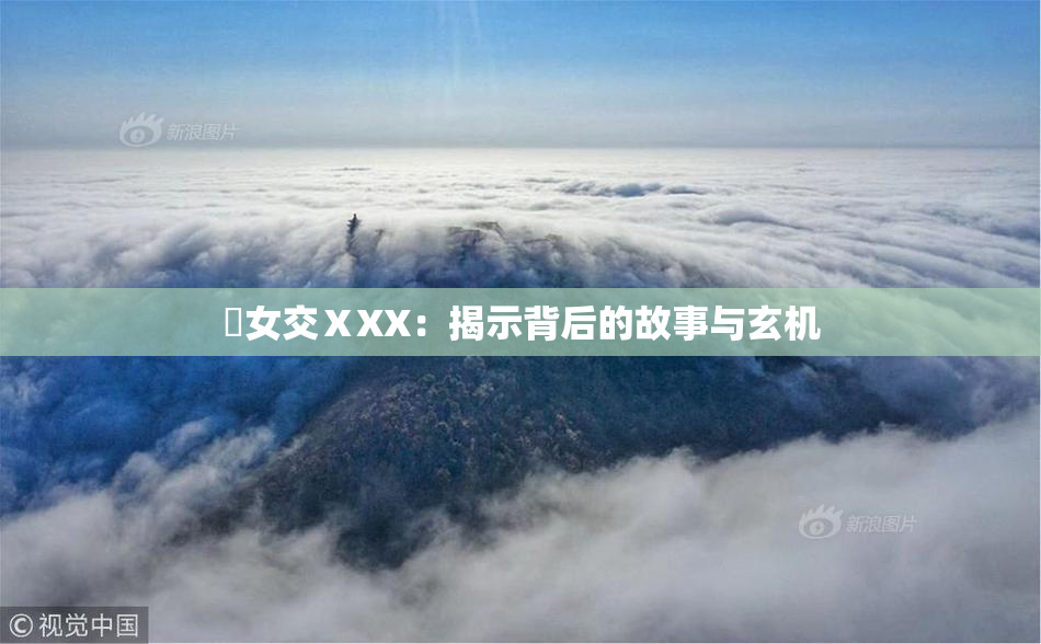乣女交ⅩXX：揭示背后的故事与玄机