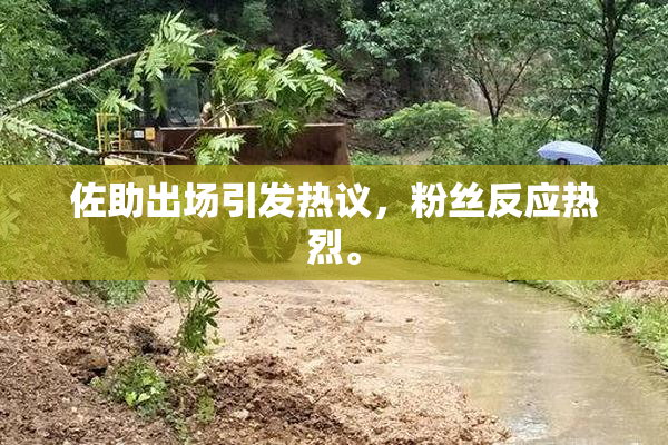 佐助出场引发热议，粉丝反应热烈。