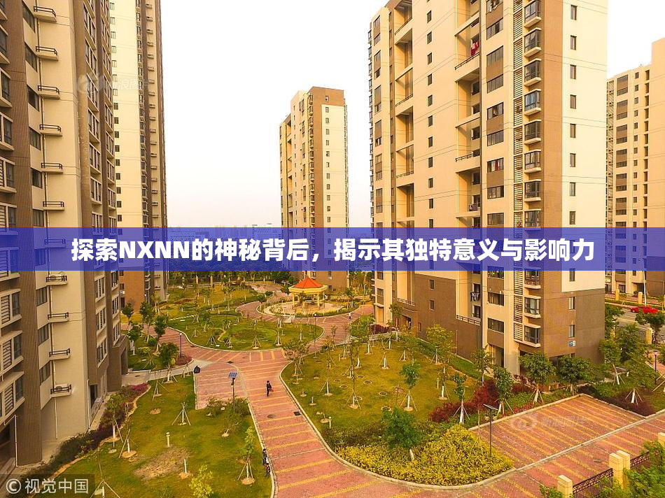 探索NXNN的神秘背后，揭示其独特意义与影响力