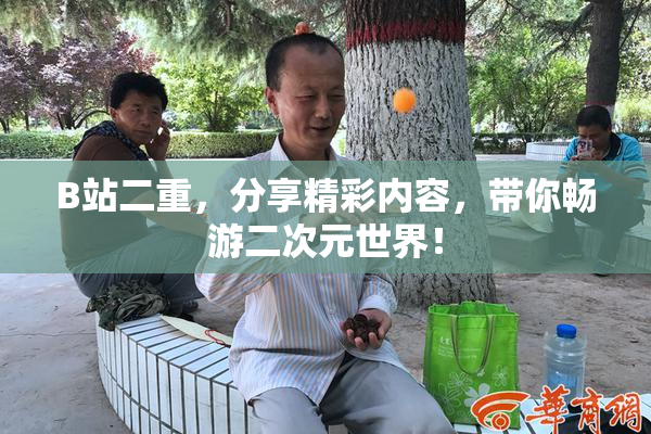 B站二重，分享精彩内容，带你畅游二次元世界！