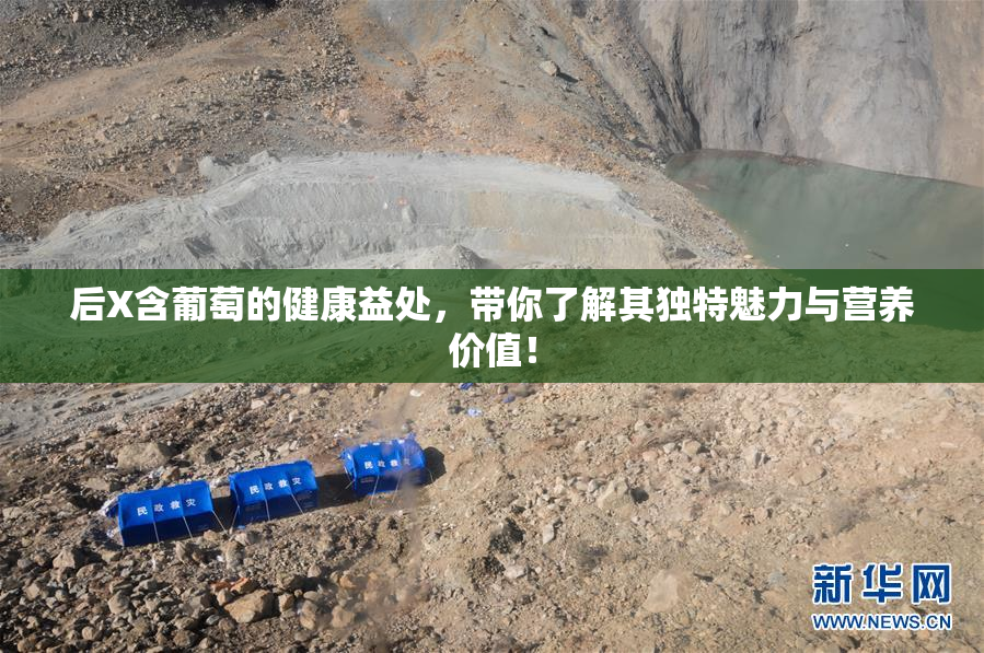 后X含葡萄的健康益处，带你了解其独特魅力与营养价值！