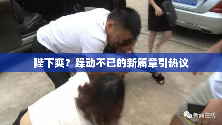 陛下爽？躁动不已的新篇章引热议
