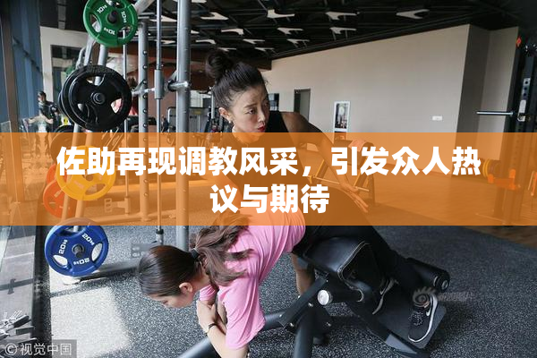 佐助再现调教风采，引发众人热议与期待