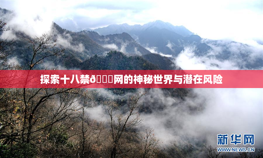 探索十八禁🔞网的神秘世界与潜在风险