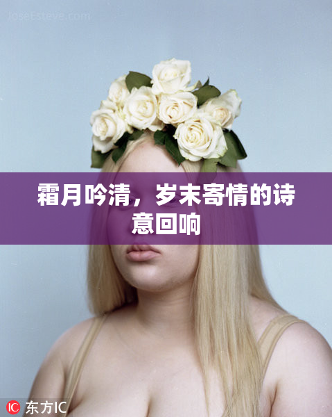 霜月吟清，岁末寄情的诗意回响
