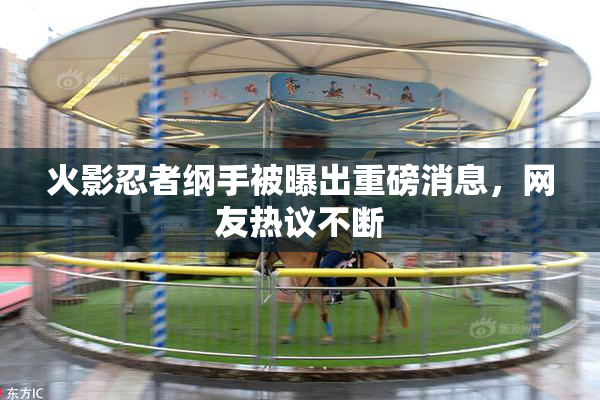 火影忍者纲手被曝出重磅消息，网友热议不断