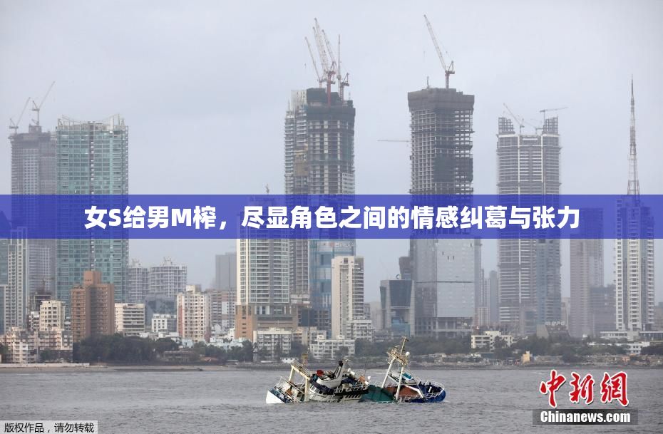 女S给男M榨，尽显角色之间的情感纠葛与张力