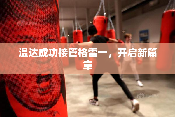 温达成功接管格雷一，开启新篇章
