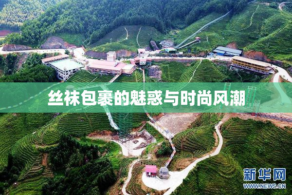 丝袜包裹的魅惑与时尚风潮