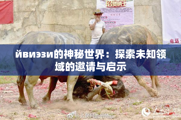 йвиэзи的神秘世界：探索未知领域的邀请与启示
