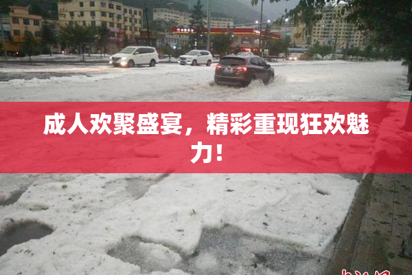 成人欢聚盛宴，精彩重现狂欢魅力！