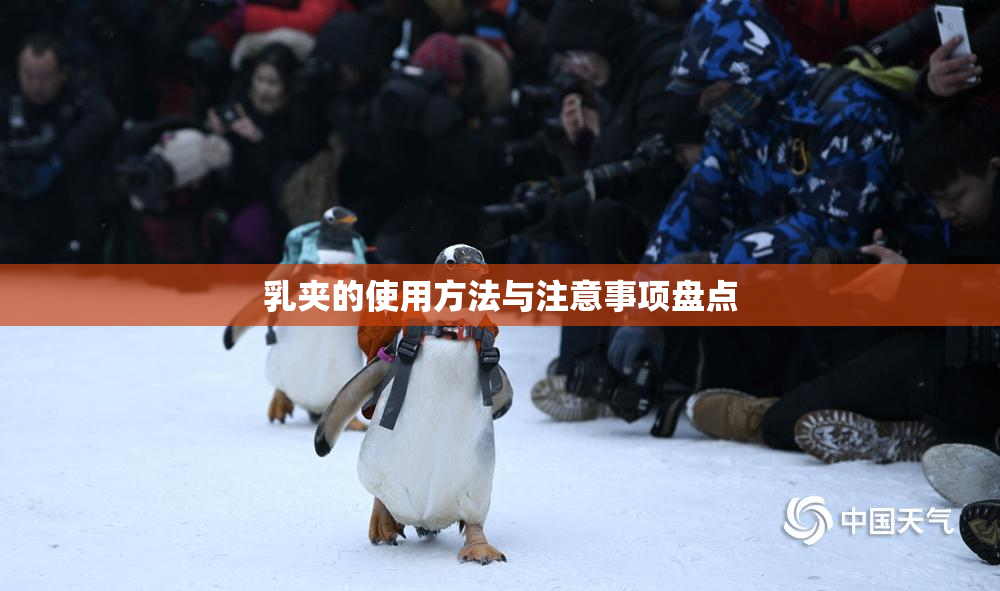 乳夹的使用方法与注意事项盘点