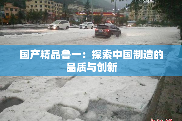 国产精品鲁一：探索中国制造的品质与创新