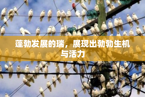 蓬勃发展的瑞，展现出勃勃生机与活力