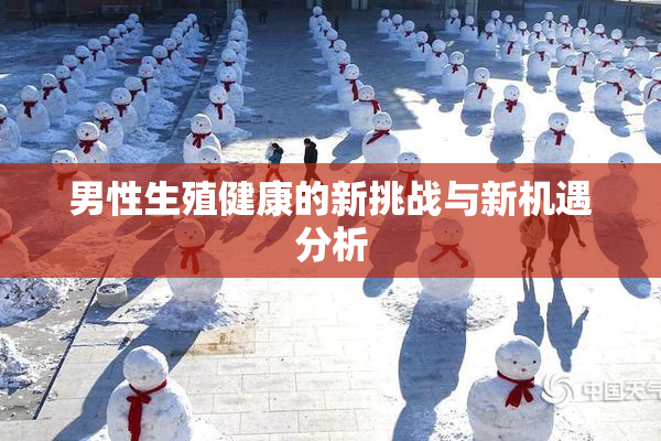 男性生殖健康的新挑战与新机遇分析