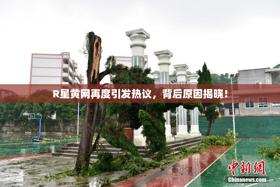 R星黄网再度引发热议，背后原因揭晓！