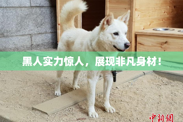黑人实力惊人，展现非凡身材！