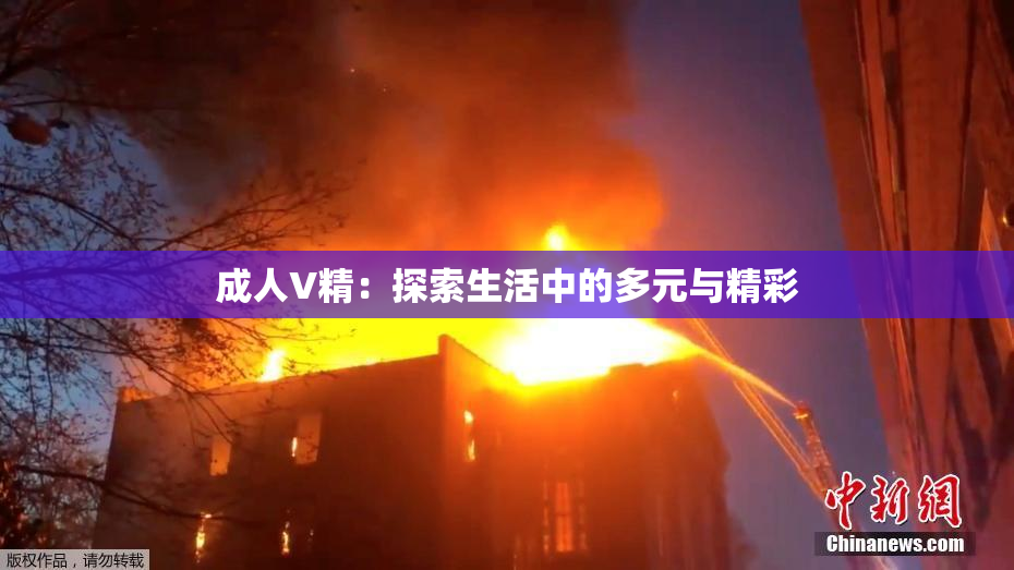 成人V精：探索生活中的多元与精彩