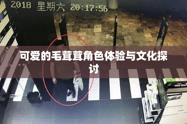 可爱的毛茸茸角色体验与文化探讨