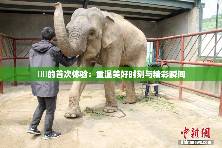 妺妺的首次体验：重温美好时刻与精彩瞬间