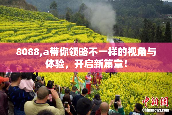 8088,a带你领略不一样的视角与体验，开启新篇章！