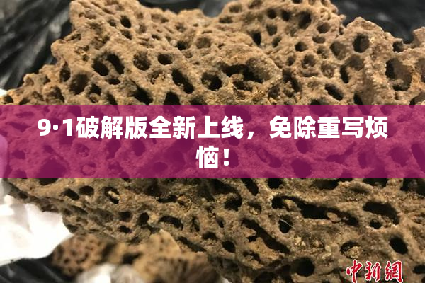 9·1破解版全新上线，免除重写烦恼！