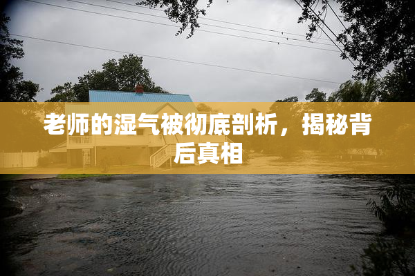 老师的湿气被彻底剖析，揭秘背后真相