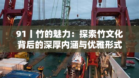 91丨竹的魅力：探索竹文化背后的深厚内涵与优雅形式