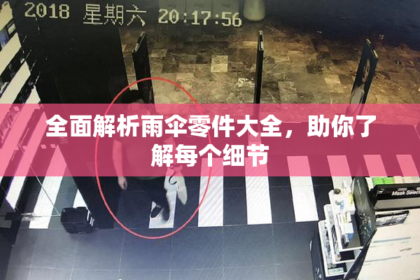 全面解析雨伞零件大全，助你了解每个细节