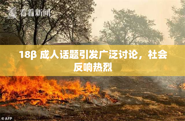 18β 成人话题引发广泛讨论，社会反响热烈