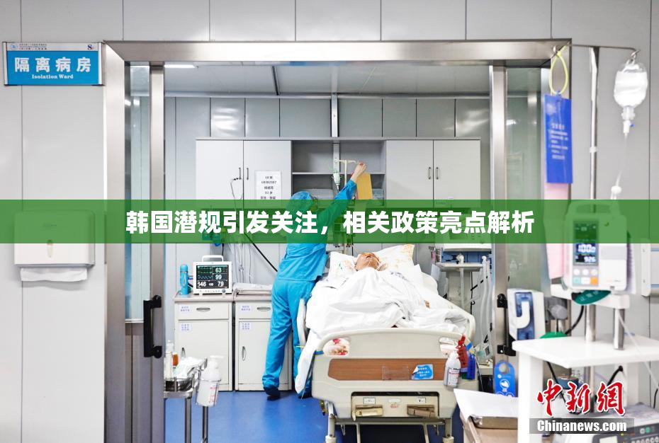 韩国潜规引发关注，相关政策亮点解析