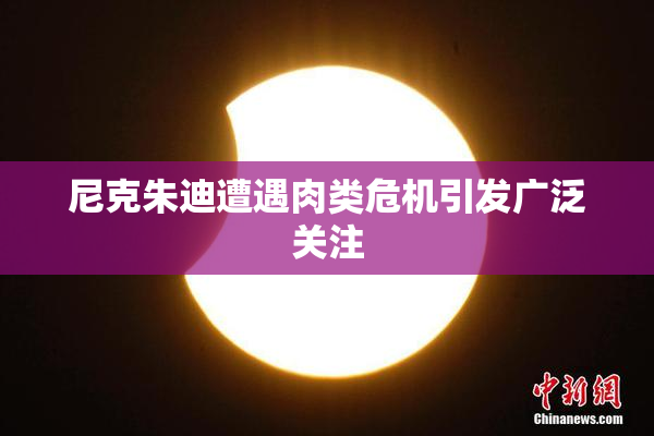 尼克朱迪遭遇肉类危机引发广泛关注