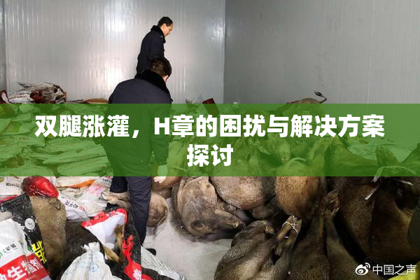 双腿涨灌，H章的困扰与解决方案探讨