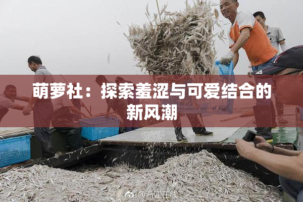 萌萝社：探索羞涩与可爱结合的新风潮