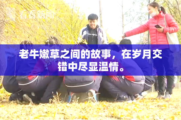 老牛嫩草之间的故事，在岁月交错中尽显温情。