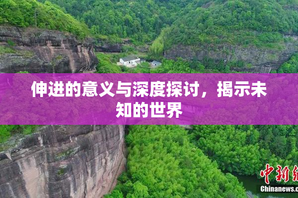 伸进的意义与深度探讨，揭示未知的世界
