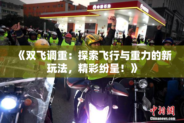 《双飞调重：探索飞行与重力的新玩法，精彩纷呈！》