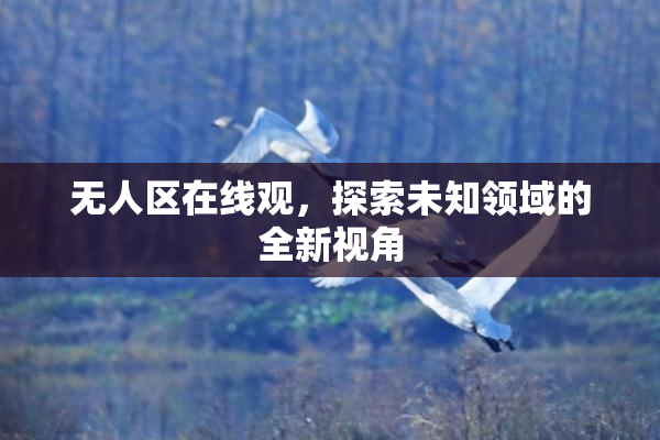 无人区在线观，探索未知领域的全新视角