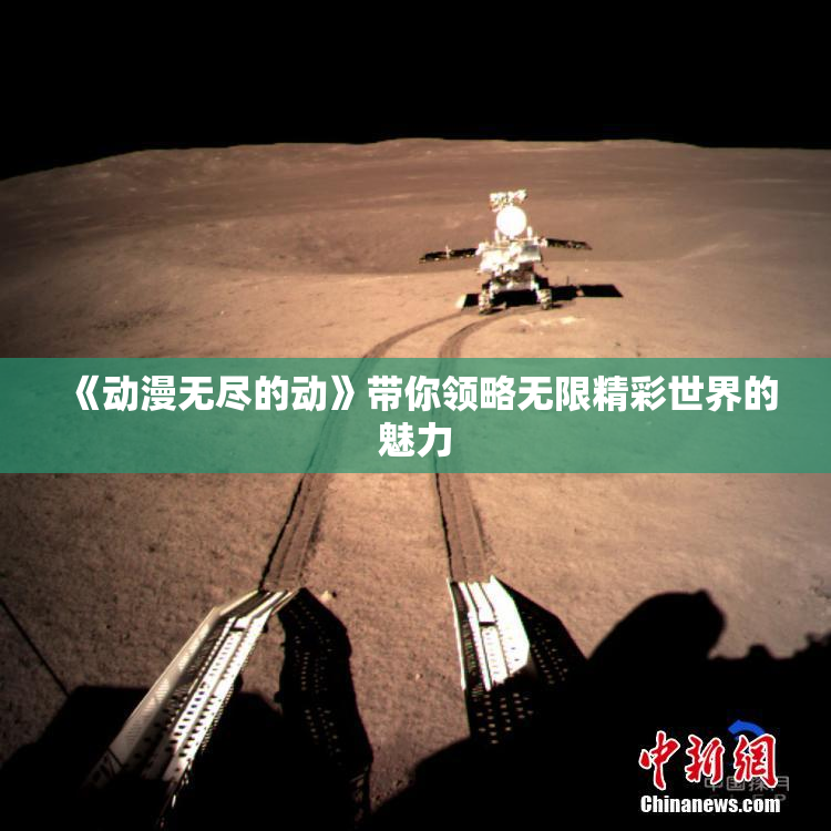 《动漫无尽的动》带你领略无限精彩世界的魅力