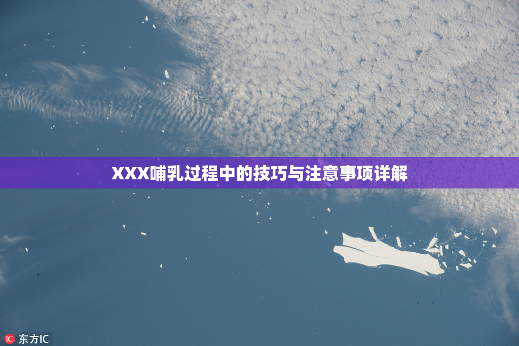 XXX哺乳过程中的技巧与注意事项详解