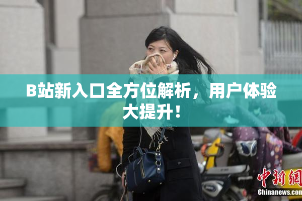 B站新入口全方位解析，用户体验大提升！