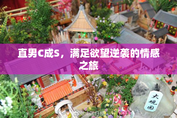 直男C成S，满足欲望逆袭的情感之旅