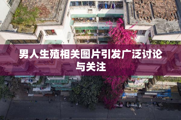 男人生殖相关图片引发广泛讨论与关注