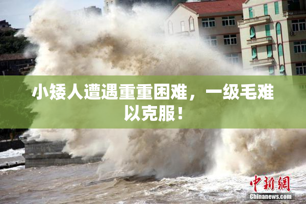 小矮人遭遇重重困难，一级毛难以克服！