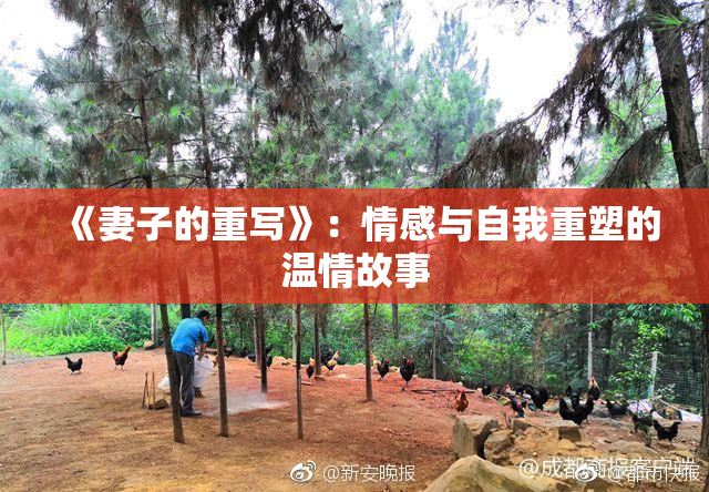《妻子的重写》：情感与自我重塑的温情故事