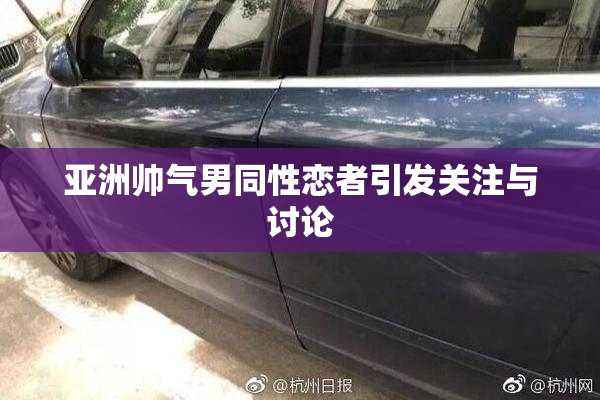 亚洲帅气男同性恋者引发关注与讨论