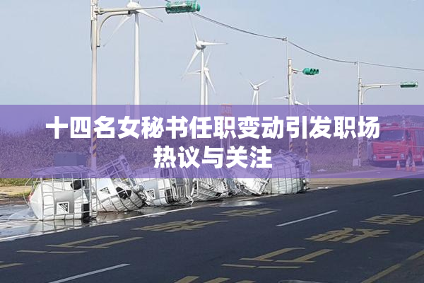 十四名女秘书任职变动引发职场热议与关注
