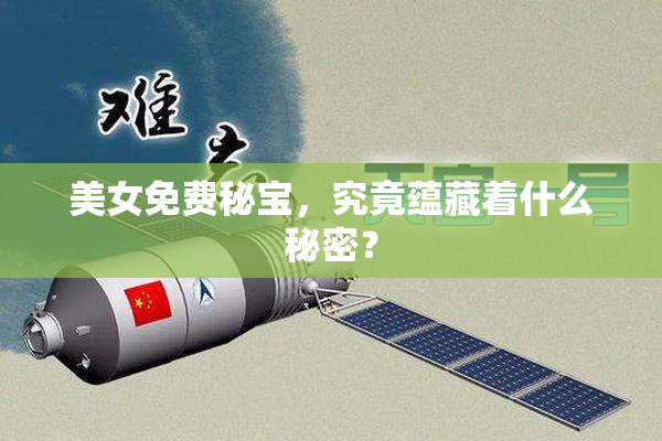 美女免费秘宝，究竟蕴藏着什么秘密？