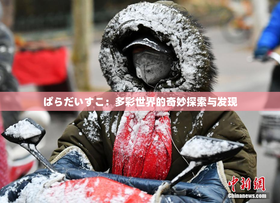 ぱらだいすこ：多彩世界的奇妙探索与发现